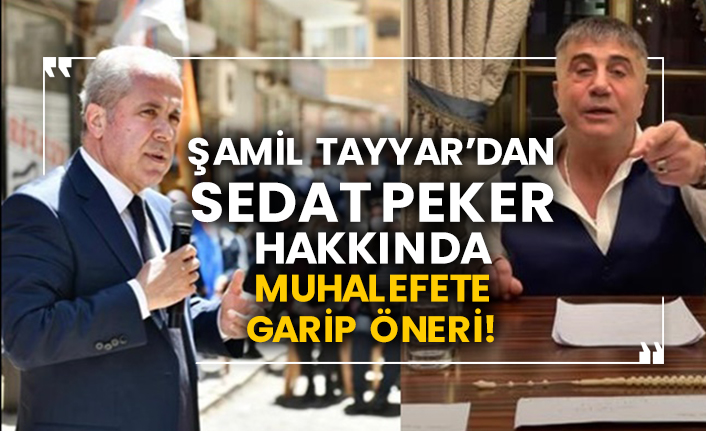 Şamil Tayyar’dan Sedat Peker hakkında muhalefete garip öneri!
