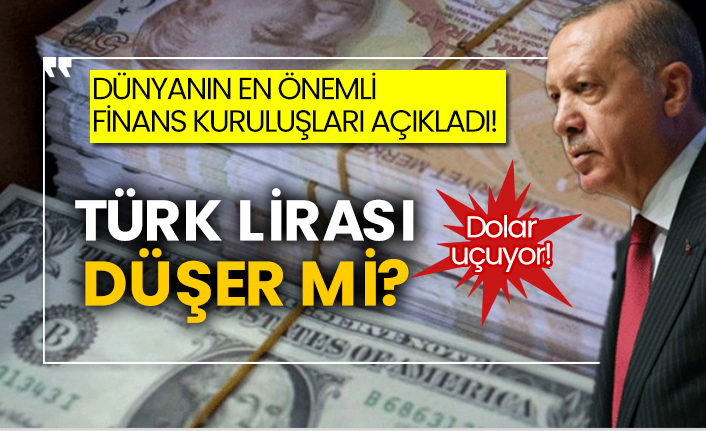 Dünyanın en önemli finans kuruluşları açıkladı! Dolar uçuyor! Türk lirası düşer mi?