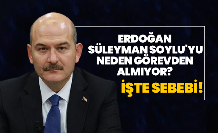 Erdoğan  Süleyman Soylu'yu neden görevden almıyor? İşte sebebi!