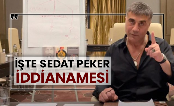 İşte Sedat Peker iddianamesi