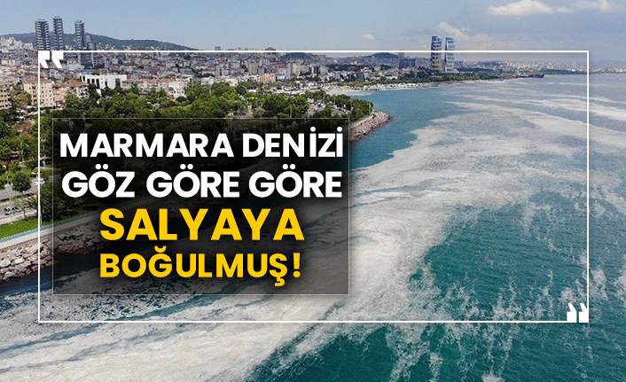 Marmara Denizi göz göre göre salyaya boğulmuş!