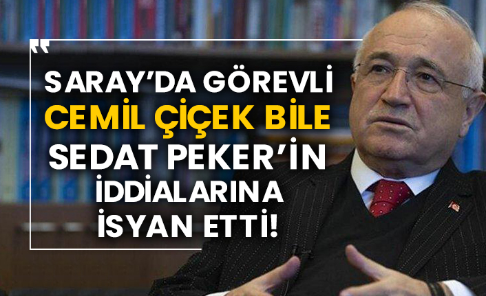 Saray’da görevli Cemil Çiçek bile Sedat Peker’in iddialarına isyan etti!