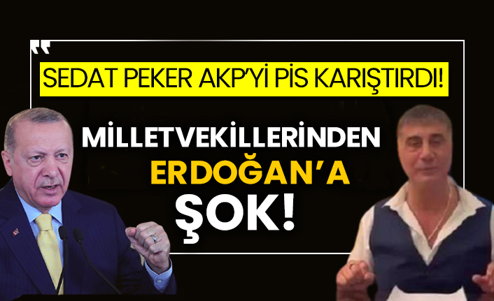 Sedat Peker AKP’yi pis karıştırdı!  Milletvekillerinden Erdoğan’a şok!