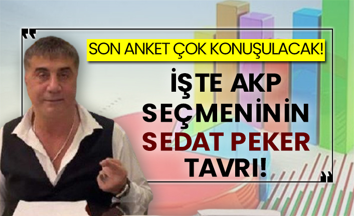 Son anket çok konuşulacak! İşte AKP seçmeninin Sedat Peker tavrı!