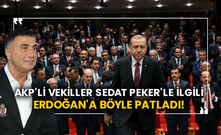 AKP'li vekiller Sedat Peker'le ilgili Erdoğan'a böyle patladı!