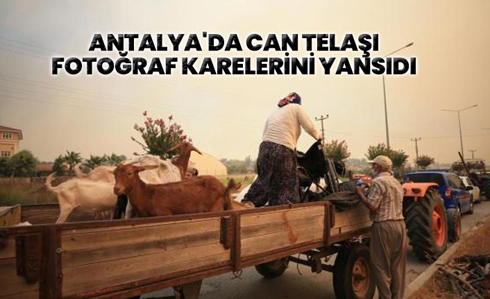 Antalya'da can telaşı fotoğraf karelerini yansıdı