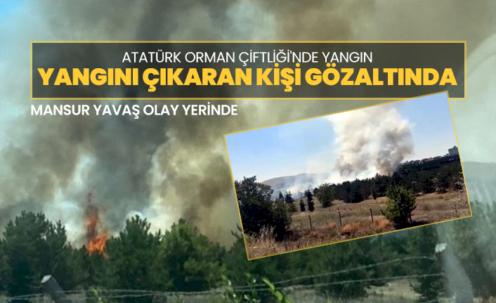 Atatürk Orman Çiftliği'nde yangın! Yangını Çıkaran Kişi Gözaltında