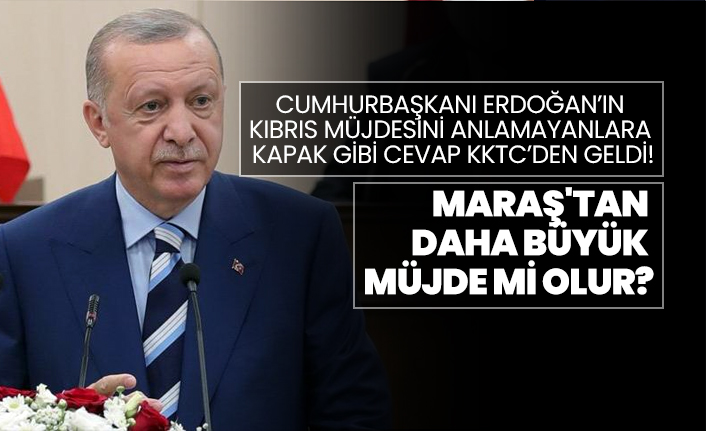 Cumhurbaşkanı Erdoğan’ın  Kıbrıs müjdesini anlamayanlara  kapak gibi cevap KKTC’den geldi!
