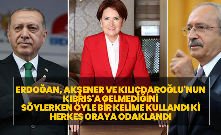 Erdoğan, Akşener ve Kılıçdaroğlu'nun Kıbrıs'a gelmediğini söylerken öyle bir kelime kullandı ki