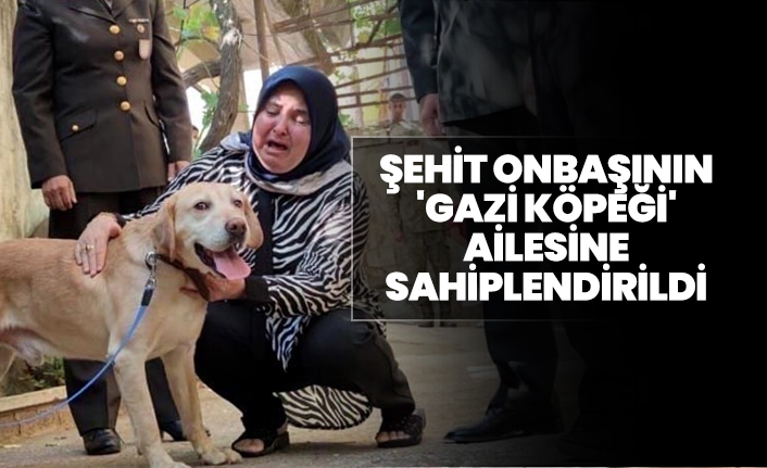 Şehit onbaşının 'gazi köpeği' ailesine sahiplendirildi