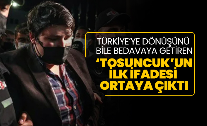 Türkiye’ye dönüşünü bile bedavaya getiren ‘Tosuncuk' lakaplı Mehmet Aydın'ın ilk ifadesi  ortaya çıktı