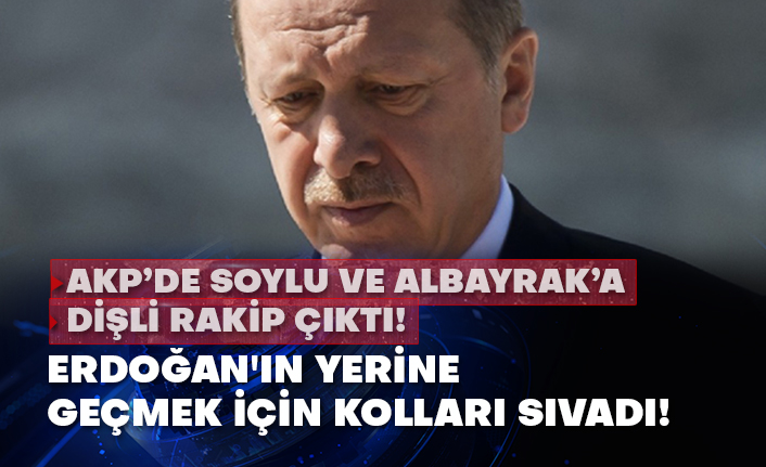 AKP’de Soylu ve Berat Albayrak’a dişli rakip çıktı! Erdoğan'ın yerine geçmek için kolları sıvadı!
