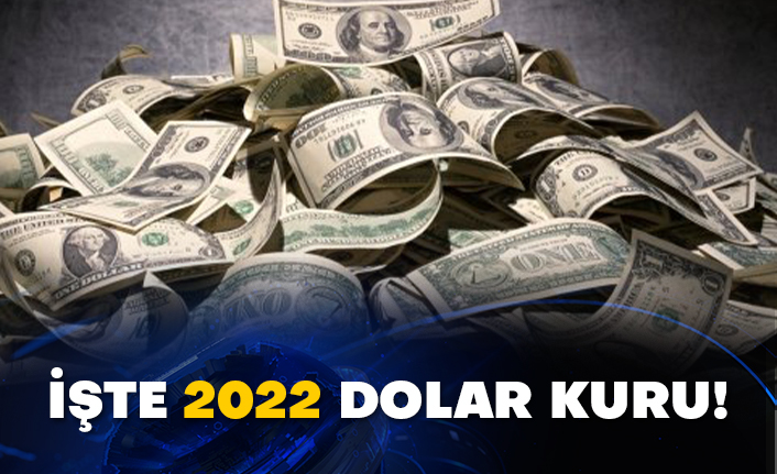 İşte 2022 dolar kuru!