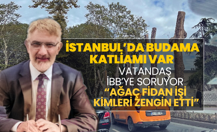 İstanbul’da budama katliamı var! Vatandaş İBB’ye soruyor 'ağaç fidan işi kimleri zengin etti'