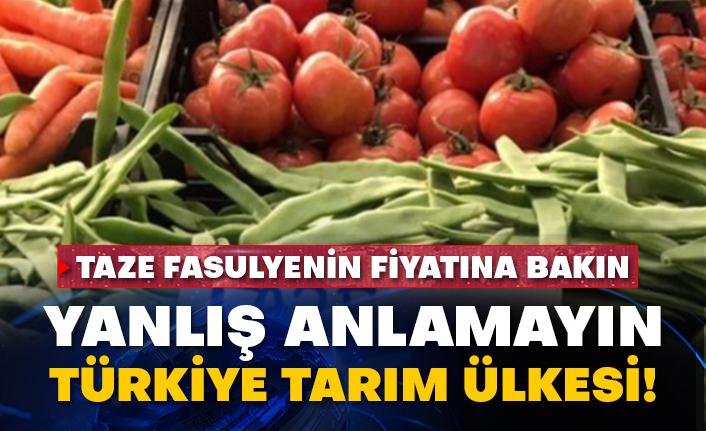 Taze fasulyenin fiyatına bakın: Yanlış anlamayın Türkiye tarım ülkesi!