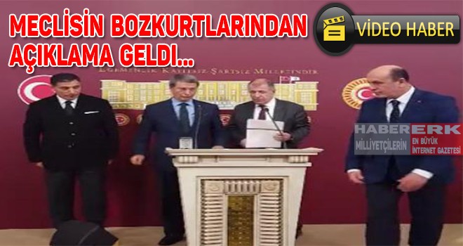 TBMM Bozkurtlarından Açıklama Geldi!
