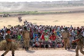 Türkiye-Suriye sınırında 1002 kaçak yakalandı