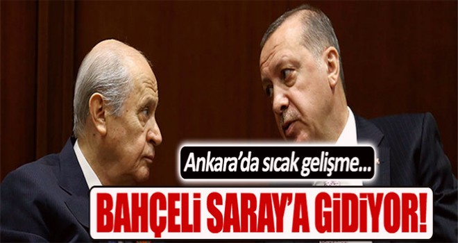 Bay Bahçeli Saray'a Gidiyor!